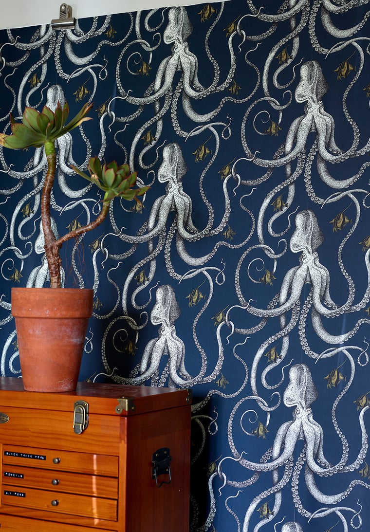 The wallpaper Ocotopoda by Josephine Munsey with octopuses